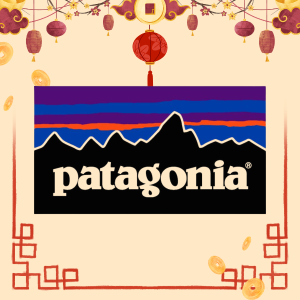 Patagonia Sale