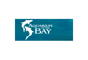 Aquarium of the Bay