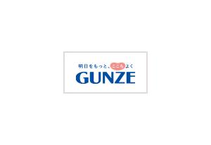 GUNZE online store