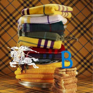 24S Burberry Sale