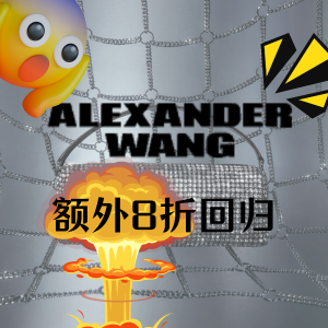 Alexander Wang End of Year Sale GWP of Holiday Boba Bag