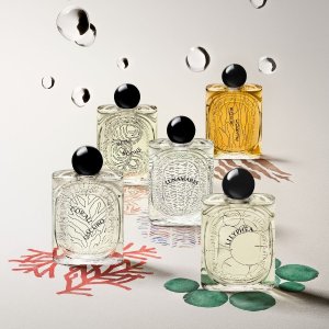 BG Fragrance Hot Sale