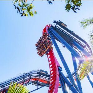 Deal of the Day: Amusement Parks